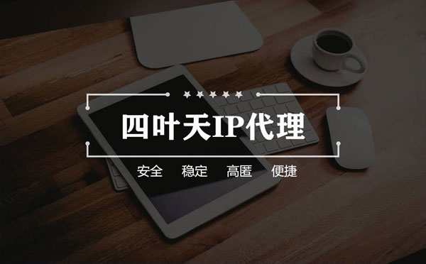 【凉山代理IP】如何快速搭建代理IP？怎么检查代理的效果？